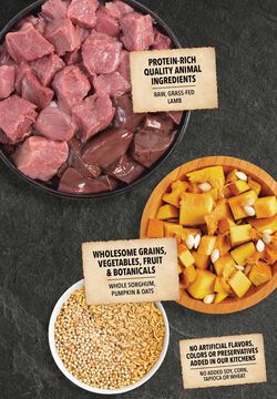 Lamb & Pumpkin Grain Inclusive Formula - Acana Singles Online Sale