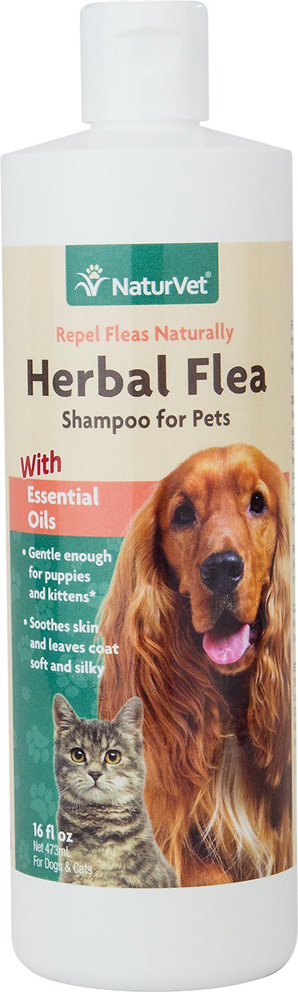 NaturVet Herbal Flea Shampoo 16 oz For Discount