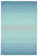 Trans Ocean Ravella Ombre Blue Area Rug by Liora Manne For Sale